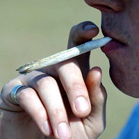 Young drug-drivers 'on the rise'